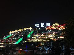 -枇杷园食为鲜火锅(南山店)