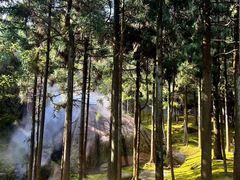 -玉苍山国家森林公园