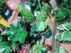 -缦云里花园餐厅