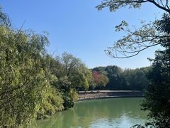 -西溪国家湿地公园