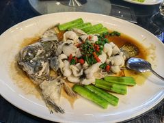 鲜花椒蒸桂花鲈-猪肉婆私房菜(容桂总店)