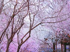 -三里河公园