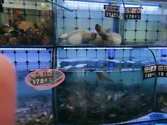 -日照大牌檔•小船海鲜(万平口店)