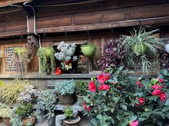 -龙姐私房菜(和顺古镇店)