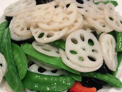 -紫光园(劲松店)