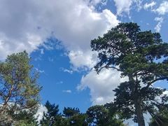 -沈阳市东陵公园