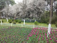 -范蠡湖公园
