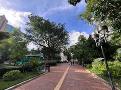 -九龙公园