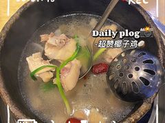 -墨脱石锅椰子鸡•香草鸭•东山羊(大东海店)