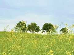 -光明小镇欢乐田园