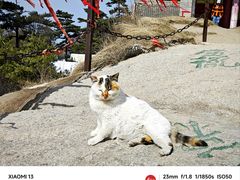 -华山风景名胜区