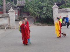 -阳台山自然风景区