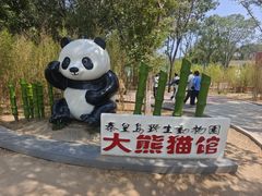 -秦皇岛野生动物园