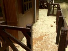 -北海金海湾红树林生态旅游区