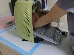 -中农大我爱我爱24h动物医院·中医针灸·猫专科·骨科医疗中心(双井店)