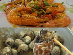 -龙坑生态保护区