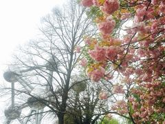 -原子球塔