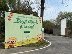 -合肥滨湖国家森林公园