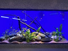 -上海海洋水族馆