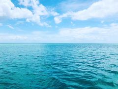 -黄金海岸