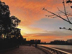 -天鹅湖体育公园