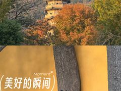 -灵谷景区
