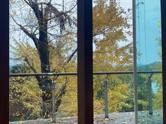 -逸廊大堂吧-下午茶·简餐-千岛湖自由洲际殿