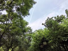 -木塔寺遗址生态公园