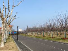-上海山野camping·户外天幕烧烤·团建拓展营地