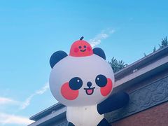 -西安电影制片厂