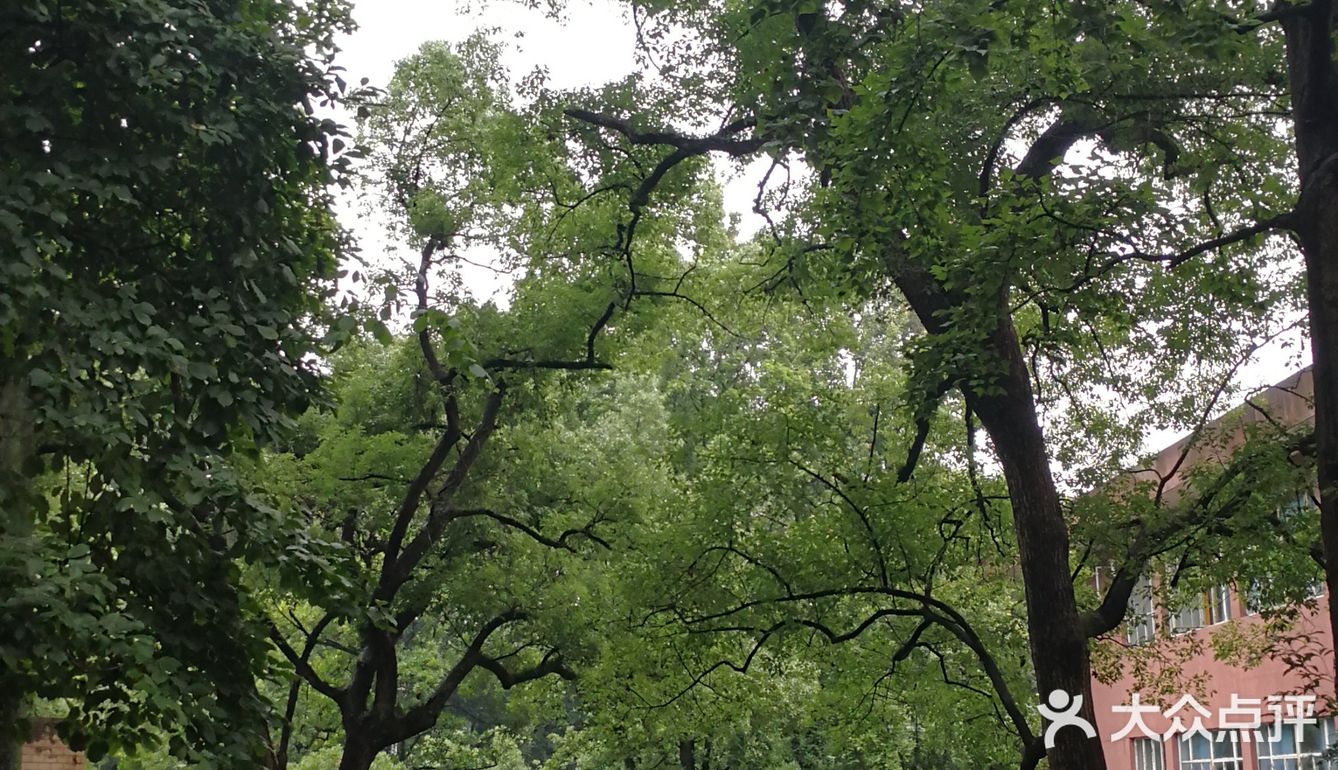 浙江大学 之江校区