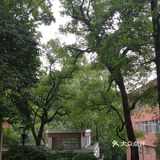 浙江大学 之江校区