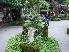 -青城甲(青城山店)