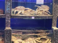 水产区-榕港名轩(天禧店)