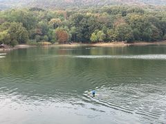 -紫霞湖公园