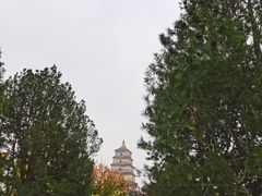 -大慈恩寺(大雁塔)