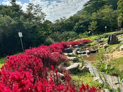 -黄埔油麻山森林公园