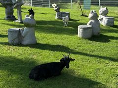 -东南花都花博园