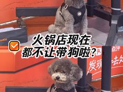 -芈重山老火锅(广州首店)
