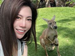 -泉州海丝野生动物世界