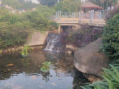 -江门古兜温泉小镇