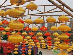 -重庆国际马戏城