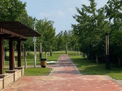 -北京国家会计学院