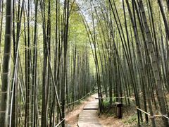 -南山风景名胜区