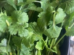 -佬土鹅肠火锅(解放路店)