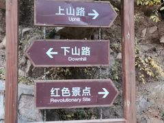 -大岭沟猕猴桃谷风景区
