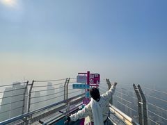 -WFC会仙楼观景台