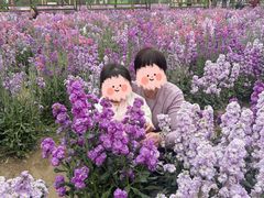 -盈香心动乐园