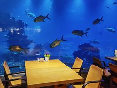 -海棠湾洲际-涛·海底餐厅·美人鱼·自助餐·海底隧道