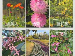 -云溪植物园